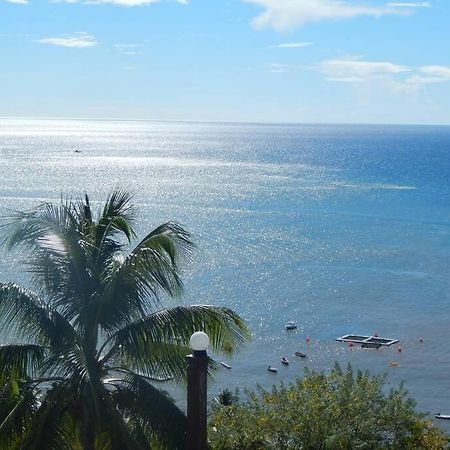 Villa Le Morne Charlotte Le Carbet Exterior foto